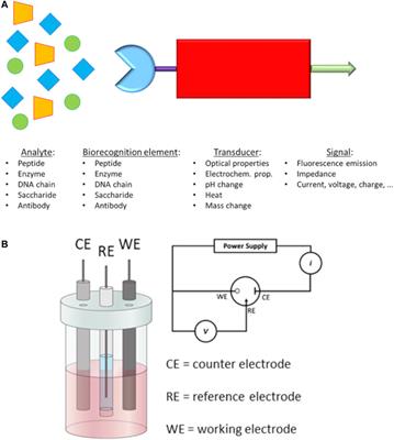 Nano-Theranostics for the Sensing, Imaging and Therapy of Prostate Cancers